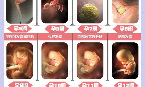 珠黄散不能吃下去吗-权威珠黄散的治咽喉炎吗平台,分享专业珠黄散功能主治知识_珠黄散功效网