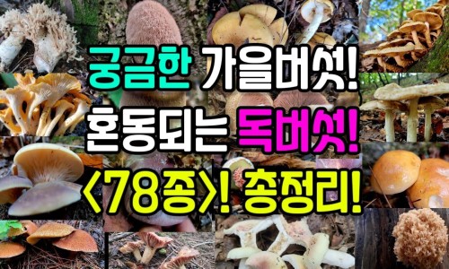 珠黄散的药物组成-权威珠黄散的治咽喉炎吗平台,分享专业珠黄散功能主治知识_珠黄散功效网